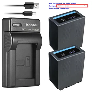 Kastar Battery Slim Charger for CGA-D54 Pro & Panasonic AG-HPX250P AG-HPX250PJ - Picture 1 of 11