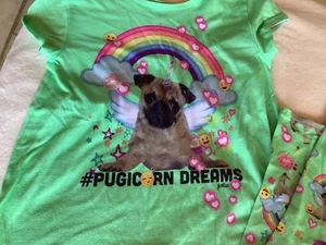 Justice Girls Size 10 Pug Unicorn Dog Pajamas PJ set - Picture 1 of 8