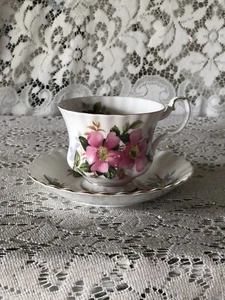 ROYAL ALBERT -PRAIRIE ROSE- ENGLAND- Tea Cup & Saucer Set - Picture 1 of 10