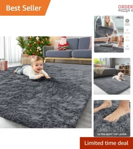 Machine Washable Area Rug 4x6 Feet Soft Fluffy Shaggy Indoor Floor Carpet - Picture 1 of 10