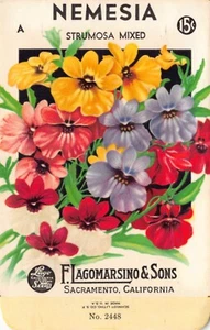 Paquete de semillas vintage: NEMESIA, Lagomarsino & Sons, Sacramento, años 40 - Imagen 1 de 2
