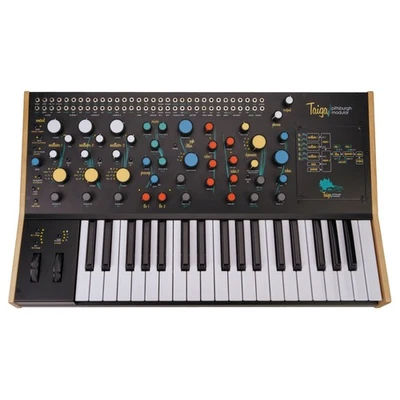 Pittsburgh Taiga  Keyboard - Synthesizer - Bild 1 von 4