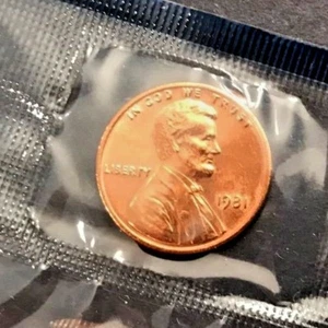 1981 P Lincoln Cent In Mint Cello (FREE SHIPPING) - Picture 1 of 2