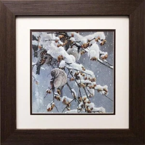 Robert Bateman "House Sparrows and Bittersweet" FRAMED Art Wildlife Nature Birds - Picture 1 of 3