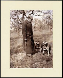 STAFFORDSHIRE BULL TERRIER LOVELY MAN AND DOG PRINT MOUNTED READY TO FRAME - Picture 1 of 1
