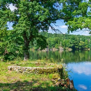 Wellness Hotel Deal | Erzgebirge Vogtland Plauen Short Trip 4 Days | Voucher 2P - Picture 1 of 12