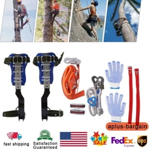 Baumkletterspike Set verstellbare Kletterausrüstung mit Sicherheitsgurt & Gurten NEU - Bild 1 von 12