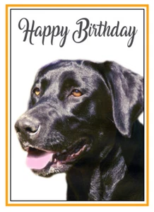 BLACK LABRADOR RETRIEVER DOG QUALITY GLOSSY BIRTHDAY CARD 8"x6" FREE POST - Picture 1 of 2