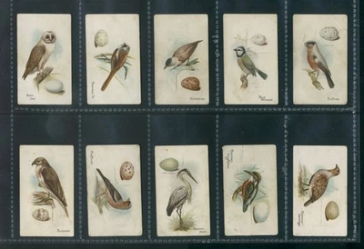 Gallaher Ltd BIRDS & EGGS x 35 different 1905 Scarce Cards - Image 1 of 4