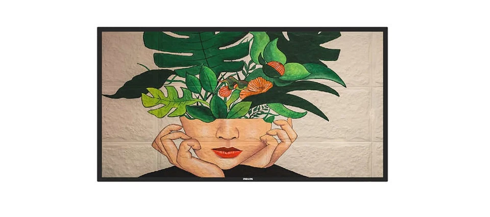 Dis Public 50 Philips 50BDL4511D/00 D-Line - Bild 1 von 1