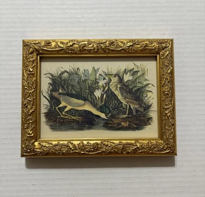 Audubon Framed Print Night Heron 5 1/2 X 8 Inches - Image 1 of 4