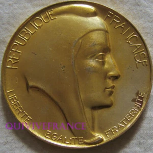 MED11204 - MEDAILLE SOCIETE D'ENCOURAGEMENT AU PROGRES 1971 en Vermeil - Picture 1 of 3