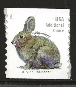 US Scott #5545, Single 2021 Rabbit VF MNH - Picture 1 of 1