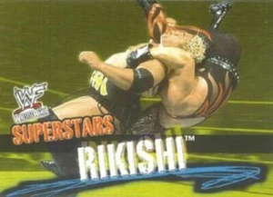 WWF WRESTLEMANIA BASE / BASISKARTEN 1 BIS 100 VON FLEER 2001 WWE - Bild 1 von 107