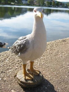 Möwe auf Poller 26 cm Polyresin Deko Figur Maritim Garten Teich Meer - Bild 1 von 9
