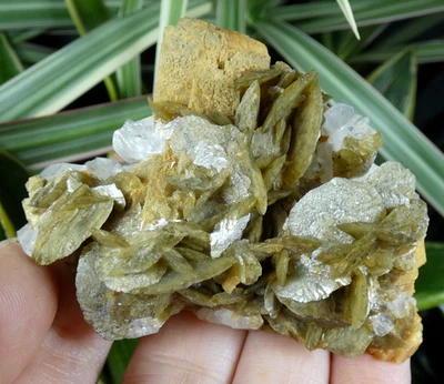 Sidérite & Quartz La Mure 7x5cm Isère France mineral collection ancienne reiki - Photo 1/4