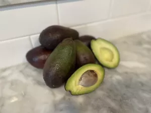 HASS AVOCADO SCION CUTTING FOR GRAFTING. (4 Pieces) - Picture 1 of 4