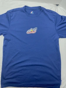 Vintage Washington Glory Women's Professional Fast-pitch Softball T-Shirt Mens M - Picture 1 of 10