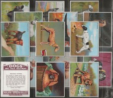 DRAPKIN-FULL SET- DOGS AND THEIR TREATMENT 1924 (L15 CARDS)