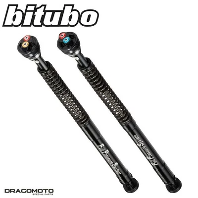 DUCATI 1098 R 2008-2009 Front Fork Kit BITUBO D0032EBH09 - Image 1 of 4