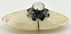 Antique French Delicate Palais Royale Style Silver Mounted Shell Bonbonnière 5" - Picture 1 of 12