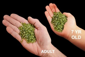 PERIDOT Crystals 1/4" 2 Ounces Rocks Minerals Specimen Chakra Healing Crystals - Picture 1 of 3