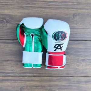 No Boxing No Life Boxing Gloves Handmade Canelo No Boxing No Life Gloves - Picture 1 of 4