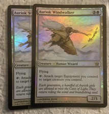 MTG Auriok Windwalker Mint Fifth Dawn 5/165 Regular Rare X2