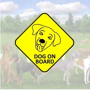 DOG on Board Sticker - car van window bumper face labrador sign warning window - Picture 1 of 1