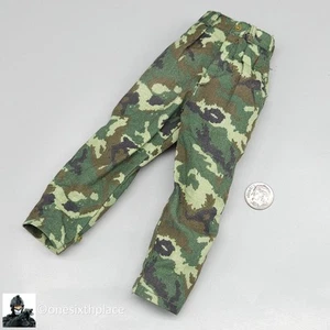 Pantalones camuflados digitales DiD Chinese PAP Rescue Team escala 1:6 para figuras de 12" - Imagen 1 de 3