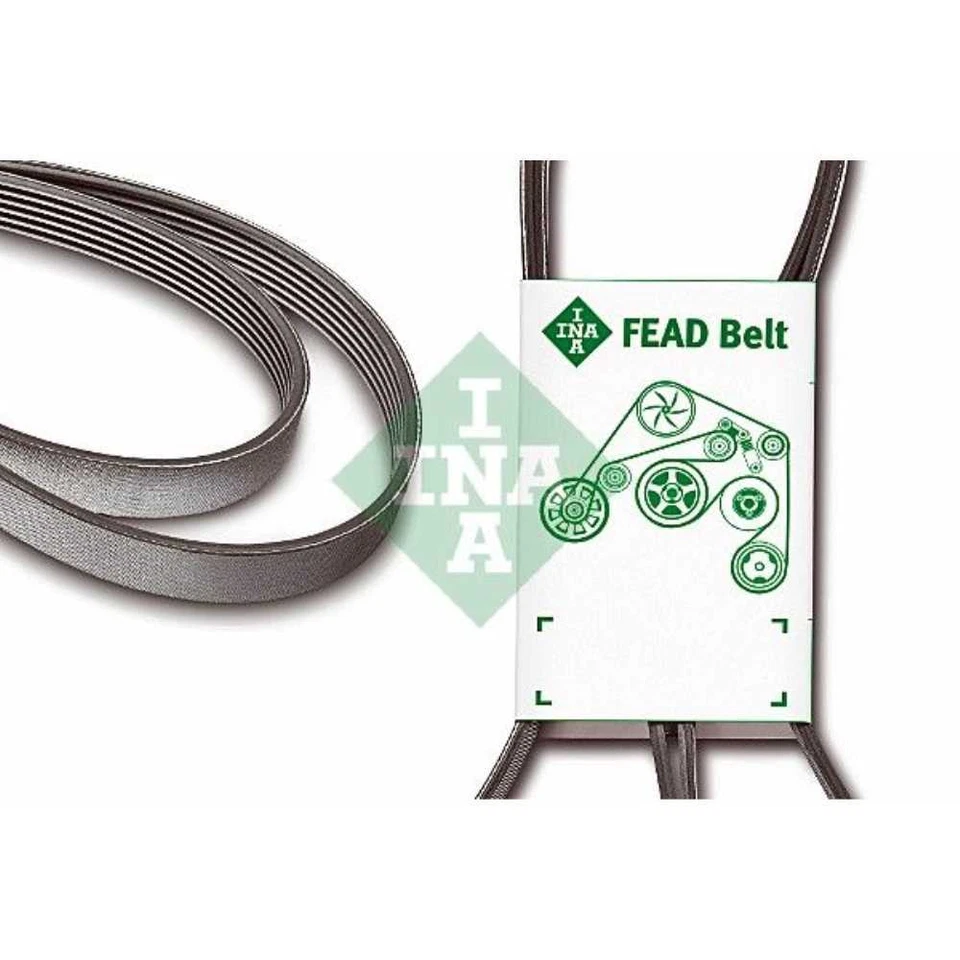 INA Correa De Poli V Para Mercedes-Benz Clase C T-Model Mazda Tribute - Imagen 1 de 1