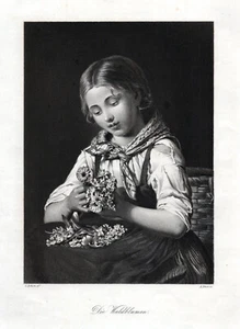 Waldblumen. Originaler Stahlstich; von Simon um 1850 - Picture 1 of 1