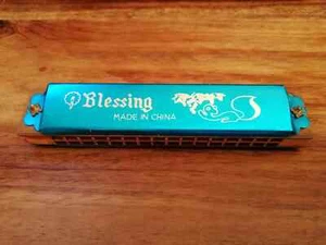 Armonica Blessing - Foto 1 di 1