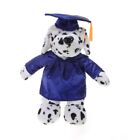 Personalized Dalmatian Plush Stuffed Animal Toys Gifts for Graduation 12 inch