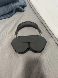 Apple AirPod Maxes - Picture 1 of 4