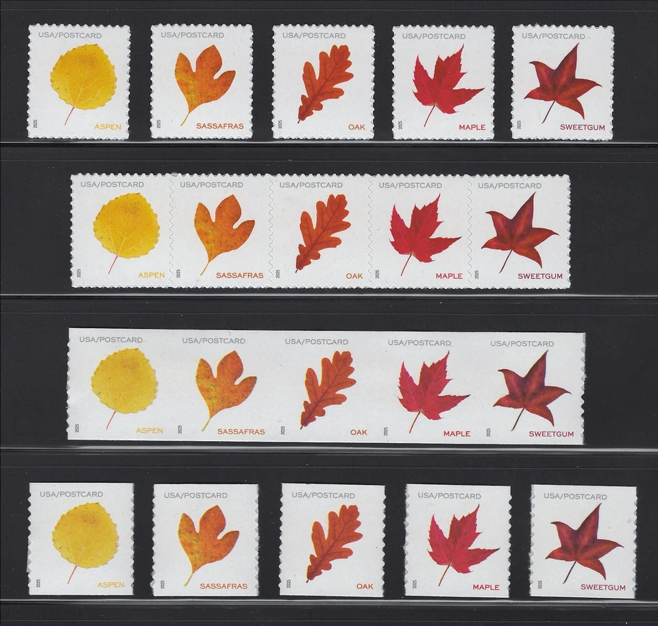 US Scott # 5966-5975 Vibrant Leaves Post Card Rate MNH Pane & Coils 2025 - Image 1 of 1