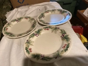 3 New Paltzgraff Jamberry Dinner Plates - Picture 1 of 7