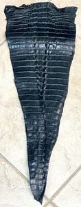 Genuine American Alligator Hide Black Hornback Tail Craft 4253-E3 - Picture 1 of 12