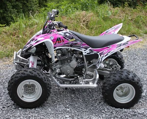 Kit de calcomanías gráficas Yamaha Raptor 250 | Servicio personalizado gratuito NO2500 rosa caliente - Imagen 1 de 4