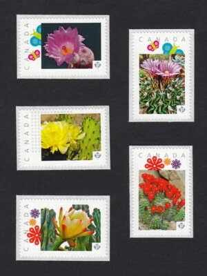 CACTUS FLOWERS -1 = Set of 5 Picture Postage Stamps MNH Canada 2015 [p15/2ct51] - Image 1 of 2
