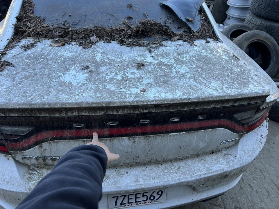 CARGADOR DODGE MALETERO/TAPA/PORTÓN TRASERO 15 16 17 18 19 20 21 22 23 Foto 1 de 1