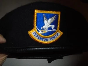 Baret Wool AF  size 7 1/4 Sweatband drawstring Bancroft Cap co. Wings Collection - Picture 1 of 7