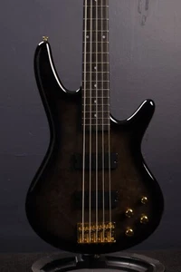 Ibanez Gio GSR205PC 5-string Bass Guitar - Transparent Pale Black Burst - Picture 1 of 8