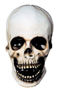 Skull Adult Halloween Mask Accessory - Picture 1 of 1