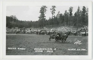 Bulldogging a Steer, Custer Rodeo, Custer, South Dakota 1946 RPPC - Foto 1 di 2