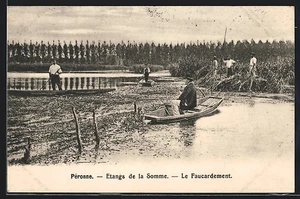 CPA Péronne, Etangs de la Somme, Le Faucardement 1915 - Picture 1 of 2