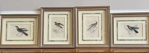 4 platos de libro enmarcados 4, 20, 24, 28 colibríes - Imagen 1 de 20