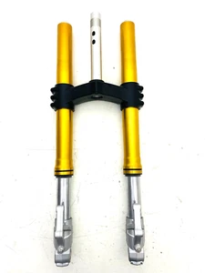 FORCELLE MARZOCCHI BENELLI TNT 1130 900 FRONT FORKS ORO SCURO C 0300269000000 - Imagen 1 de 8
