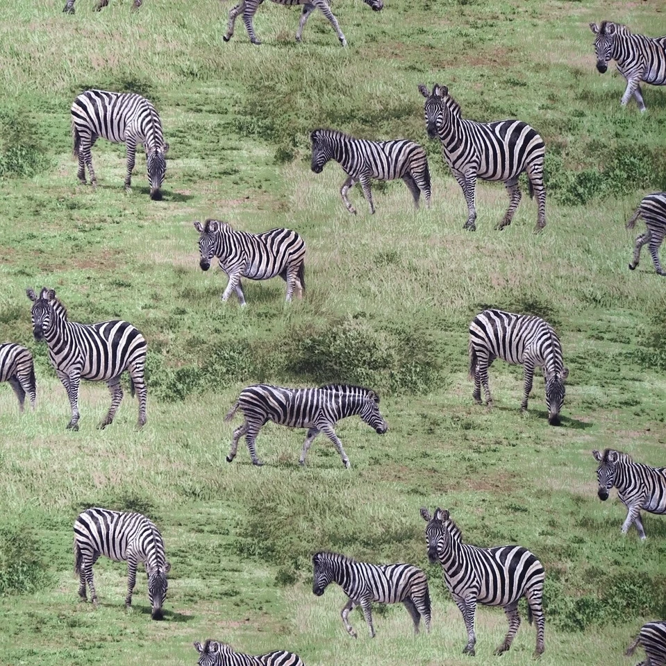 Animal Fabric - Born FreeZebra Plains Nature Scene - Fabri-Quilt YARD - Image 1 of 1