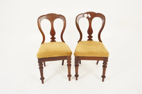 Antique Walnut Chairs, Pair of Balloon Back Dining Chairs, Scotland 1880, H1133 Cover
